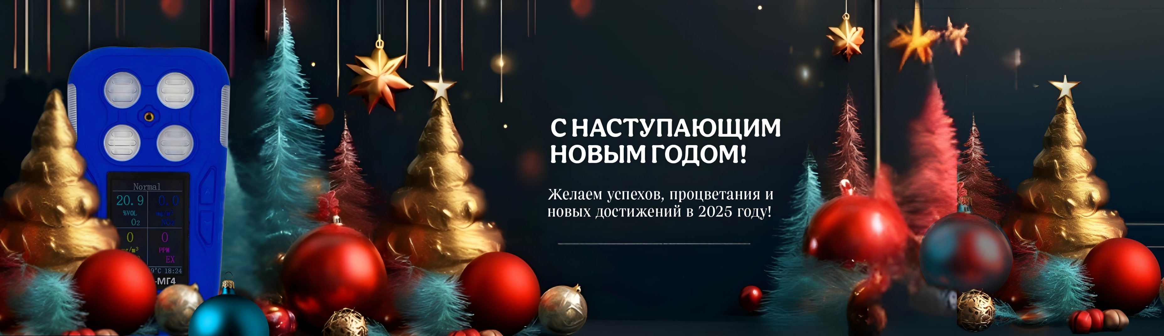 С новым 2025 годом!